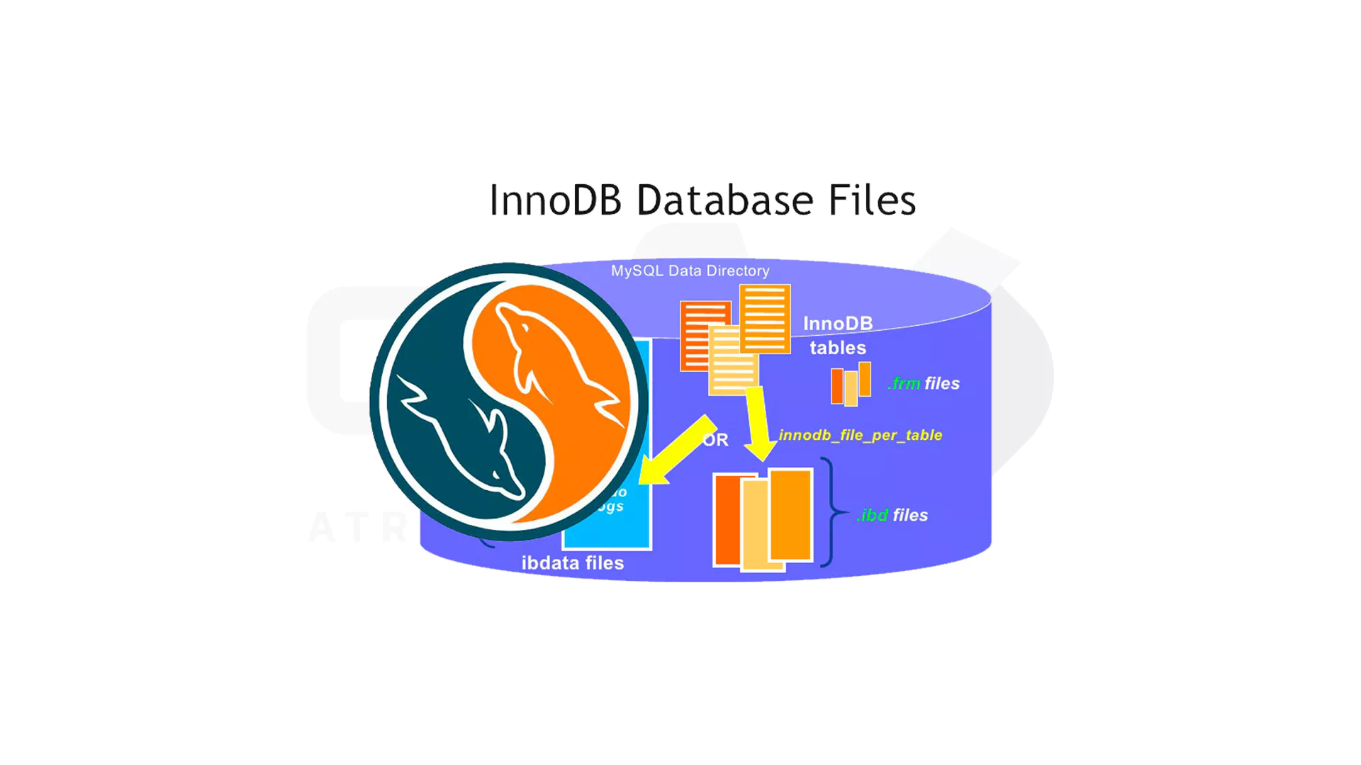 نحوه فعال سازی فایل idb در MySQL