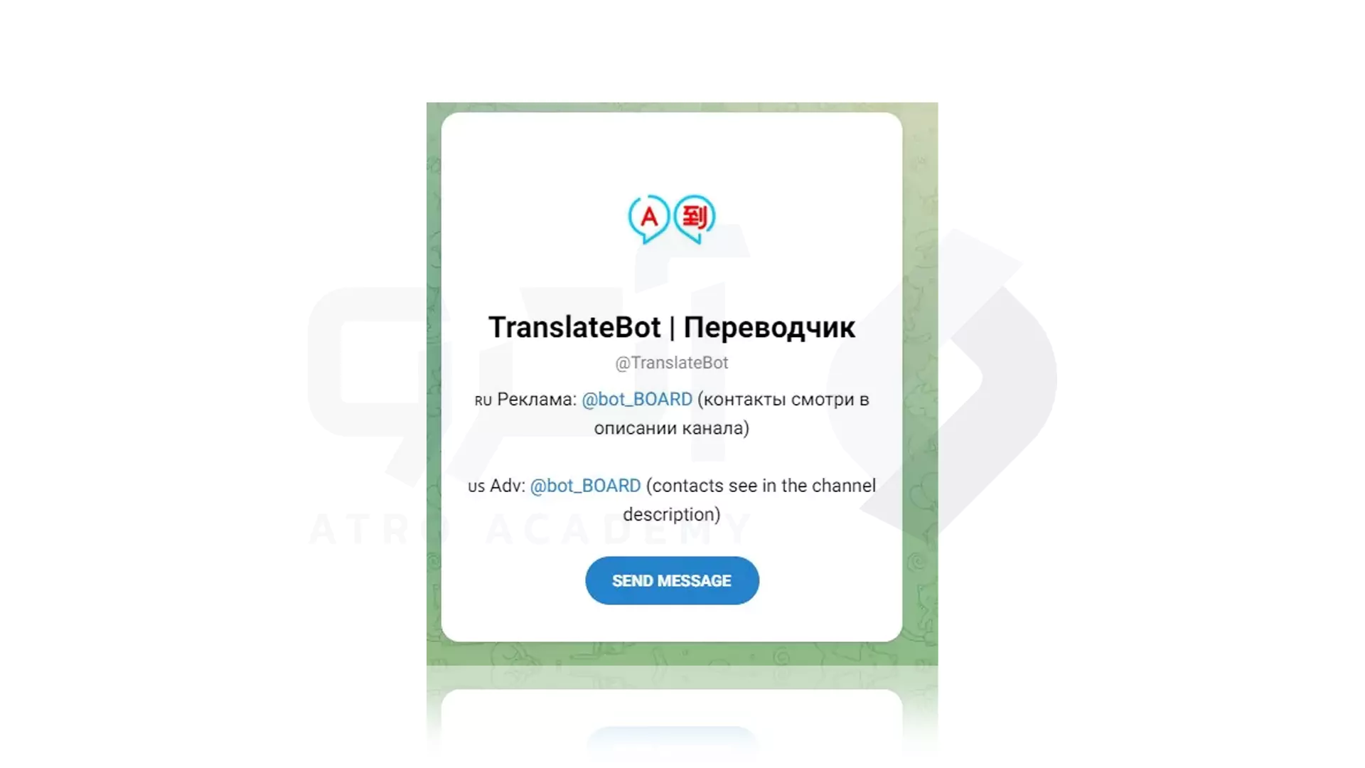 چت بات Translate Bot