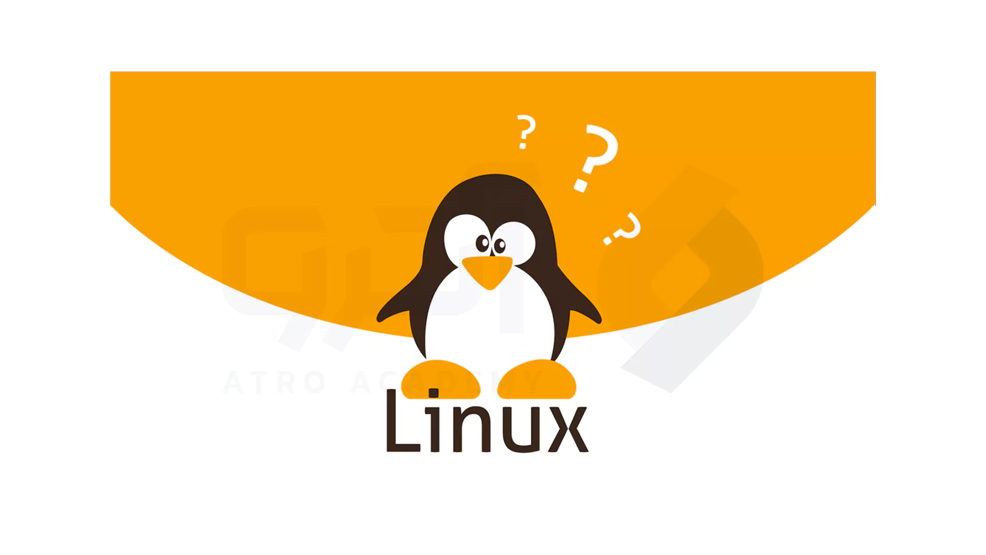 بهترین توزیع های Linux برای برنامه نویسی