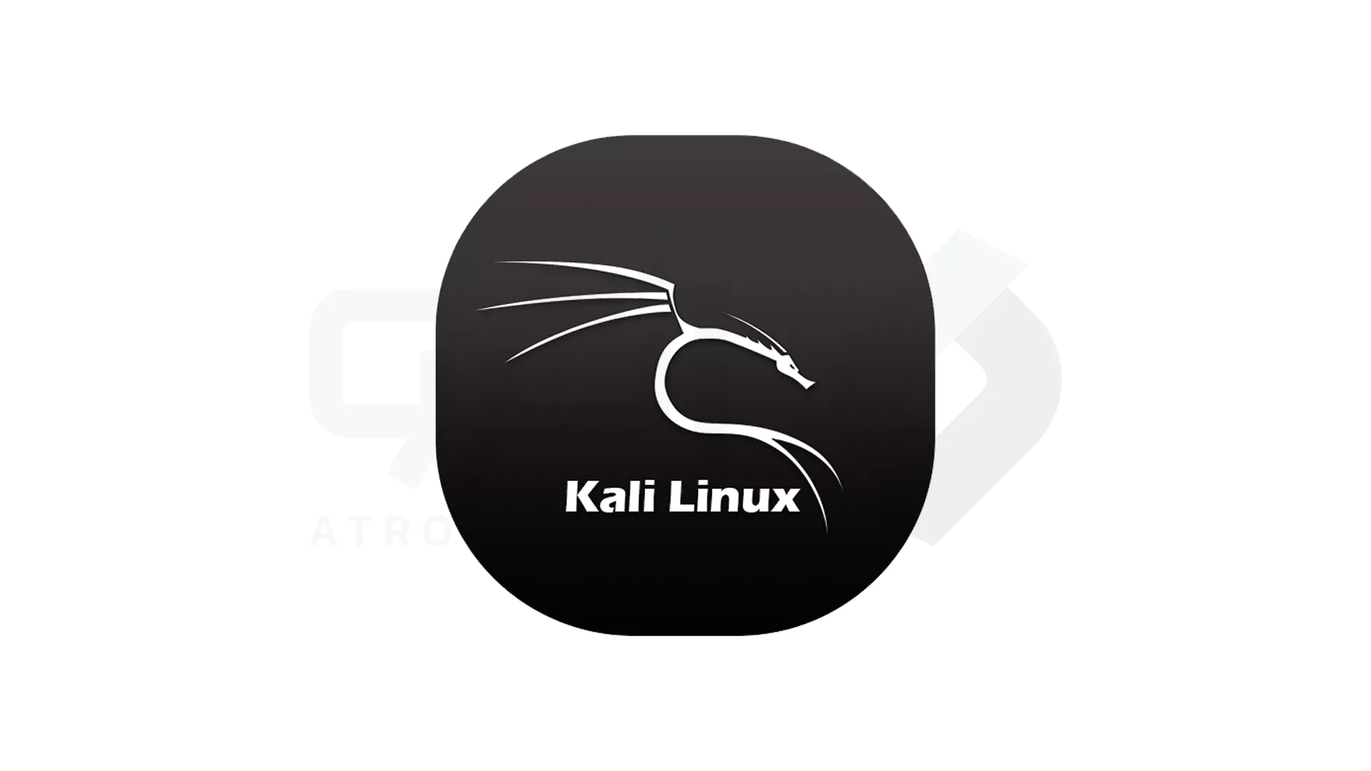 بهترین توزیع های Linux برای برنامه نویسی
