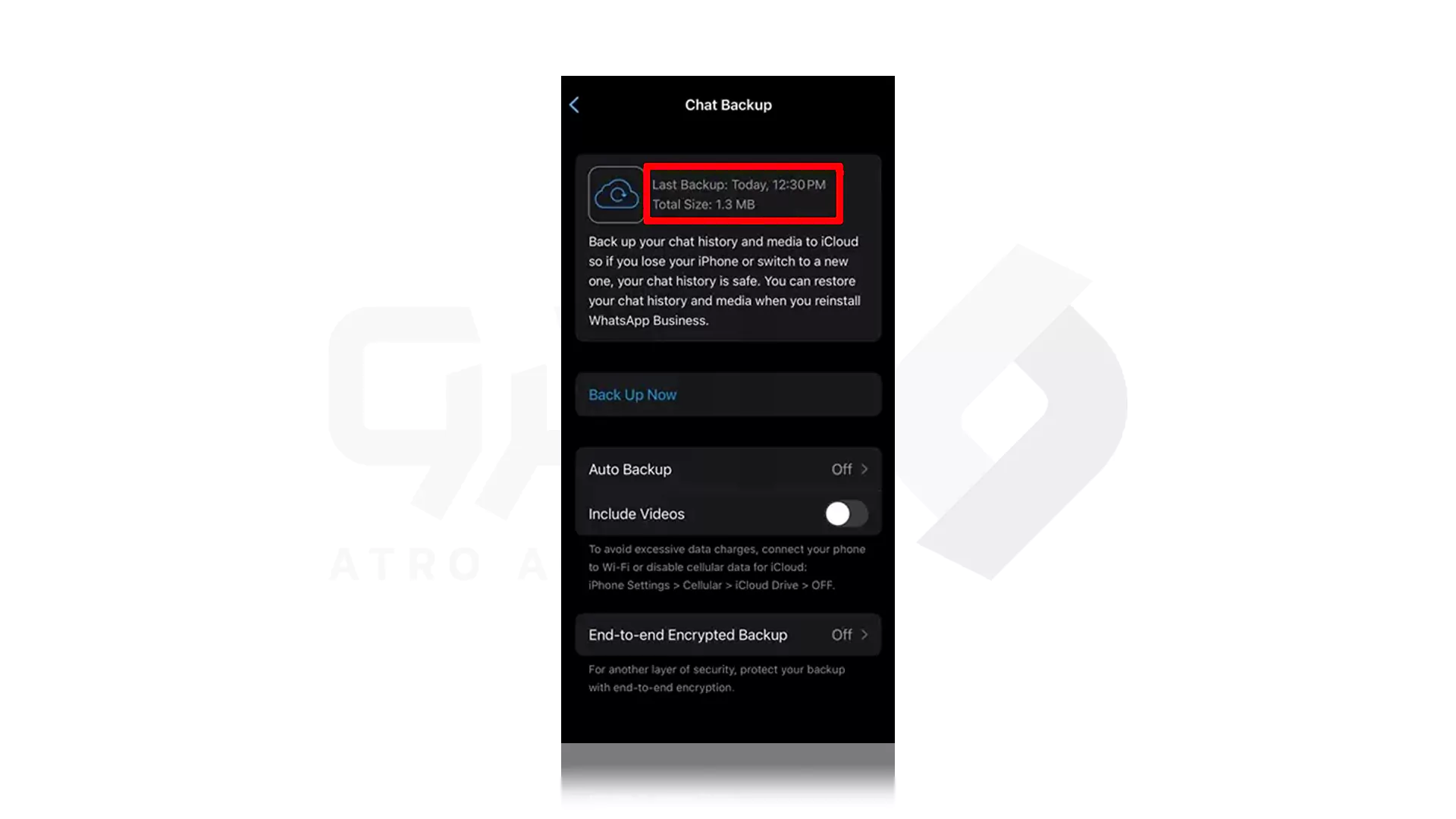 مراحل بازیابی پیام های واتساپ در iPhone با iCloud