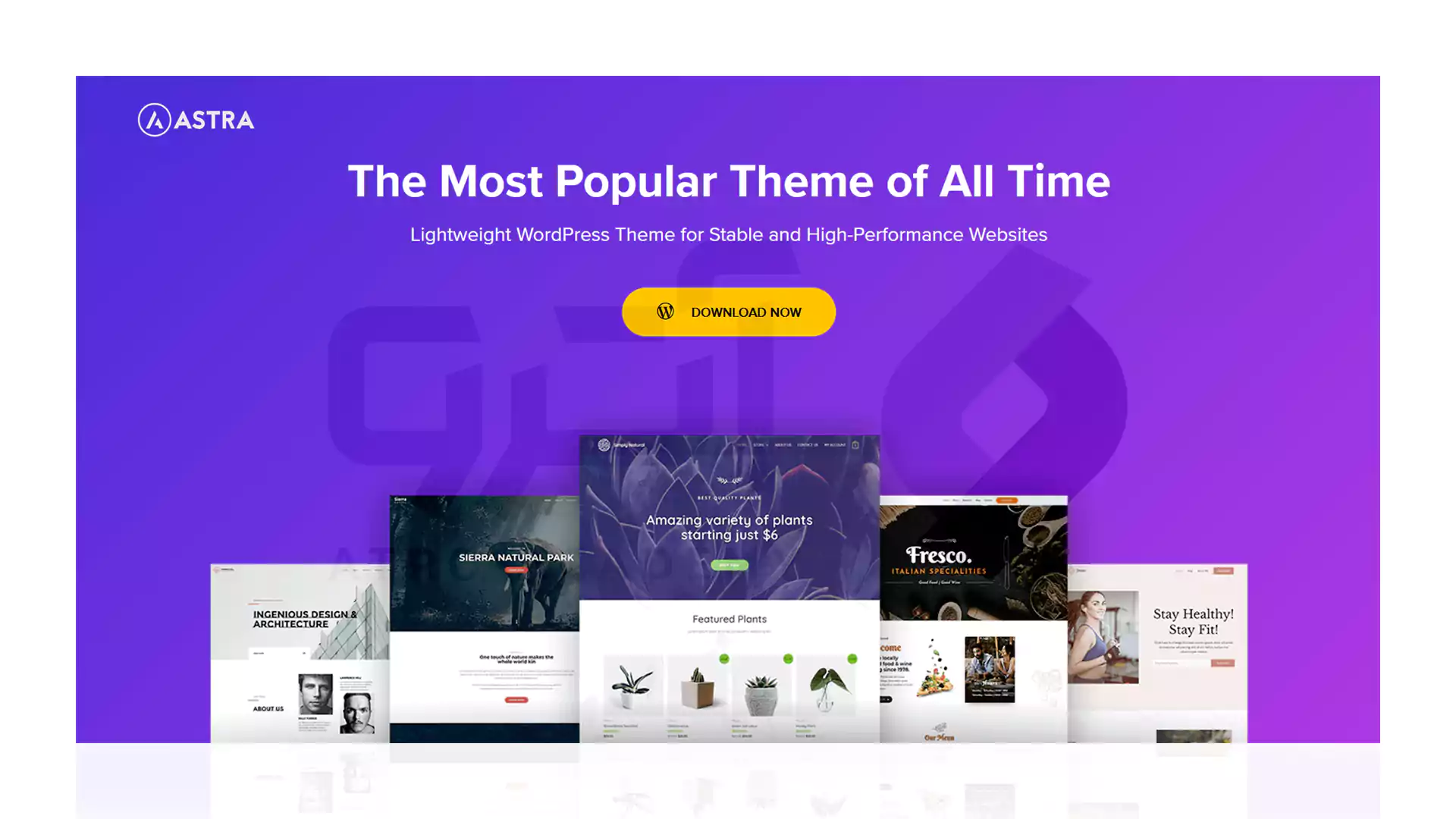 قالب وردپرسی Astra
