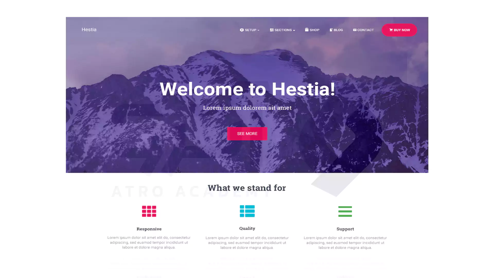 قالب وردپرسی Hestia